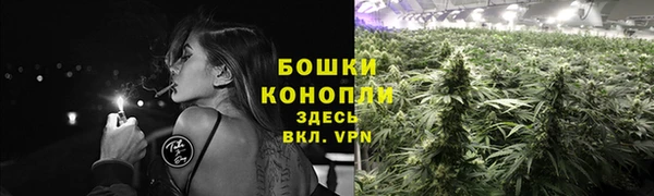 ешки Козловка