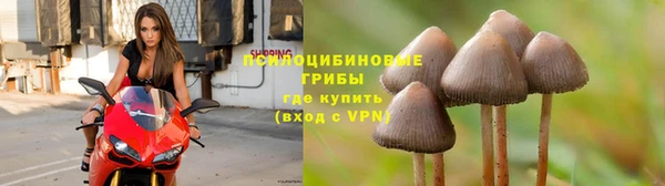 ECSTASY Кодинск