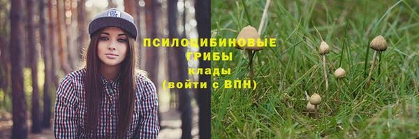 ECSTASY Кодинск